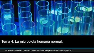 La microbiota humana normal [upl. by Vachell184]