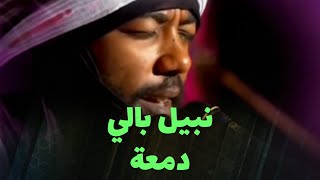 نبيل بالي  دمعة [upl. by Panchito]