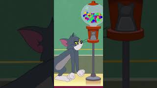 Niente gomma da masticare per Tom tomejerry boomerang shorts [upl. by Margy]