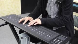 ROLI Seaboard RISE 49 Overview and Performance [upl. by Kevina161]