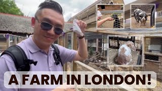 NEW EPISODE A farm in the middle of London [upl. by Aicilra]