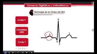 Glucosidos cardíacos y antiarritmicos farm II [upl. by Nylecoj]