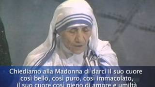 Madre Teresa a Bologna 1987 [upl. by Orit]