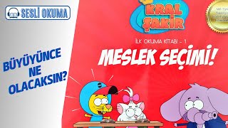 KRAL ŞAKİR MESLEK SEÇİMİ  Çocuklar İçin Sesli Okuma [upl. by Gan250]