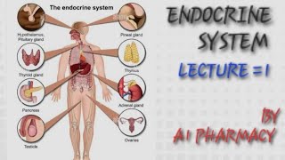 ENDOCRINE SYSTEMLECTURE 1 [upl. by Rida]