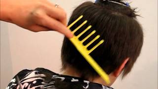 How to Cut Mens Kids Hair Short Medium Layer Undercut  Combpal Scissor Over Comb Guide Video 2 [upl. by Aicil461]