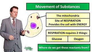 Movement of Substances Diffusion  Biology  Key Stage 3  Mr Deeping [upl. by Omoj612]