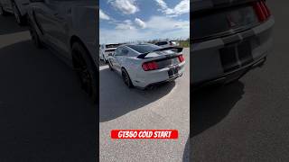 Gt350 or hellcatforyou automobile hellcats feed mustang gt350 shorts viralvideo cars [upl. by Grimonia142]