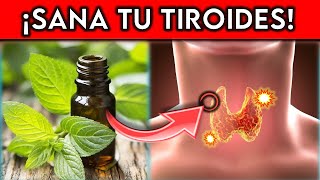 La VITAMINA Nº1 que tu TIROIDES necesita [upl. by Yanehc]