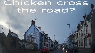 Why Did The Chicken Cross The Road [upl. by Ydok]