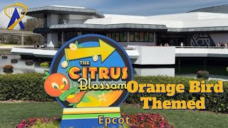 Orange Bird in The Citrus Blossom for Epcot Flower amp Garden Festival 2024 [upl. by Adnarim]