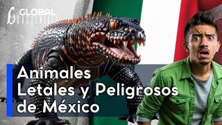 ¡Mejor Evítalos Éstos son los 7 Animales Más Peligrosos de México  Global Sostenible [upl. by Schnabel361]