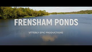 Frensham Ponds  Aerial Showcase [upl. by Lodovico760]