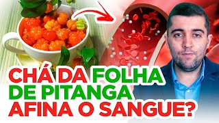 Chá da folha de pitanga remédio natural para limpar vasos sanguíneos com má circulação e trombose [upl. by Lewak]