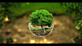 How Plants Communicate amp Think  Nature Documentary HD [upl. by Eslehc]