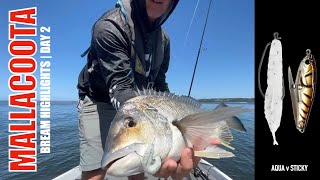 2024 BREAM Mallacoota  Highlights Day 2 [upl. by Mecke343]