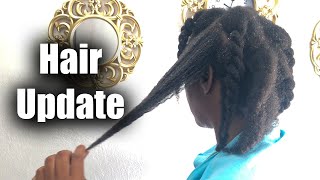 HEALING MY ALOPECIA WITH HERBS I FEMALE PATTERN BALDNESS Hair update 2024 [upl. by Aznecniv]