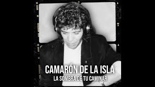 CAMARON DE LA ISLA IA la sombra de tu caminar [upl. by Eindys]