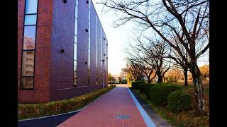 2021年3月11日（木）【岐阜大学風景】Gifu University Scenery on Thursday March 11 2021 [upl. by Korey]