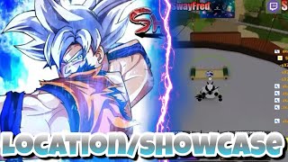 DIVINATION SPIRIT LOCATIONSHOWCASE SHINDO LIFE REAL [upl. by Byler]