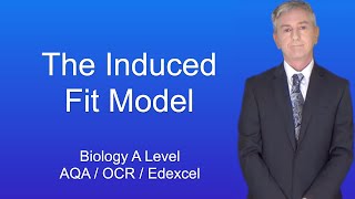 A Level Biology Revision quotThe Induced Fit Model of Enzyme Actionquot [upl. by Viveca]