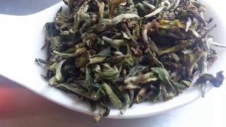 Castleton Vintage Darjeeling Tea Clonal Classic irst Flush [upl. by Zahavi]