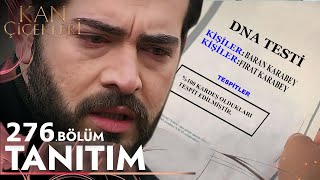 Kan Çiçekleri 276 Bölüm Fragmanı [upl. by Sumahs]