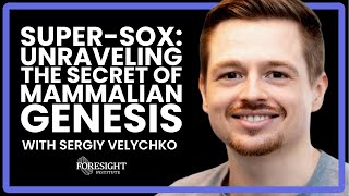 Sergiy Velychko  SuperSOX Unraveling The Secret of Mammalian Genesis [upl. by Rhee829]