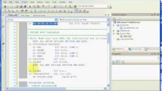 NetCOBOL for NET Tutorial COBOL Structure Example for Connection to a Database [upl. by Ellga574]