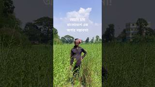 মেহেদি চাষ বাংলাদেশে এক অপার সম্ভাবনা। [upl. by Ayrad]