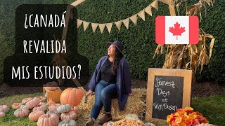 VlogValidación de estudios en Canadá 🎓🇨🇦 [upl. by Mesics107]