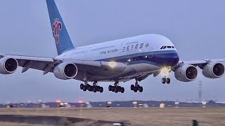 120 planes in 1 hour  Paris CDG Airport Plane Spotting🇫🇷 Close up big airplane Heavy landing [upl. by Aita]