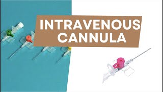 Intravenous cannula  Radiotherapy Edutech  Common terms in Oncology [upl. by Dionysus279]