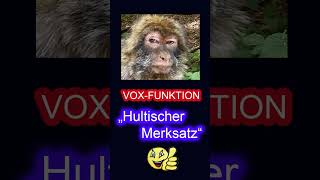 Die VOXFunktion  Hultischer Merksatz afu hamradio cbfunk pmr446 freenet hobby foryou [upl. by Ancilin32]