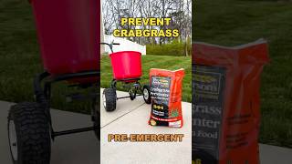 Prevent Crabgrass From Growing￼ lawn lawncare crabgrass shorts [upl. by Ayhtak]