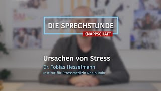 Ursachen von Stress – DIE SPRECHSTUNDE [upl. by Hebner]