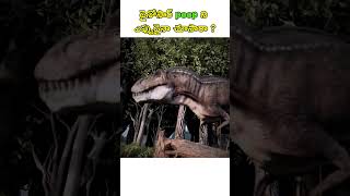 Dinosaur poop ని ఎప్పుడైనా చూసారా shorts trending dinosaur [upl. by Adlesirc]