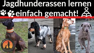 Jagdhunderassen lernen einfach gemacht  Hundeschule UB [upl. by Annaihr]