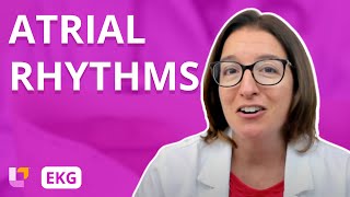 Atrial Rhythms  EKG Interpretation  LevelUpRN [upl. by Rumpf]