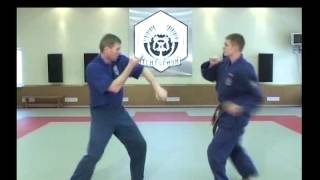 sambo russian fighter techniques [upl. by Barde]