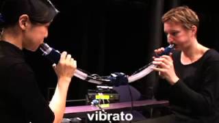 Tooka A Two Person Flute  Video of NIME2002 version of Tooka being played [upl. by Pincus972]