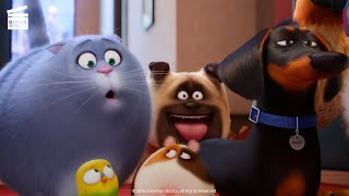 The Secret Life of Pets Animal Control Pursuit HD CLIP [upl. by Ginevra478]