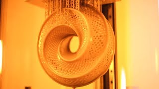 Timelapse of 3D Printing a Designer Torus on Zortrax Inkspire Resin 3D Printer [upl. by Gusella]