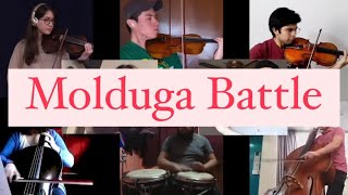 Molduga cover The Legend of Zelda Breath of the Wild [upl. by Antebi]