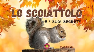 🐿 LO SCOIATTOLO E I SUOI SEGRETI  Maestra Emy [upl. by Dnaltroc]