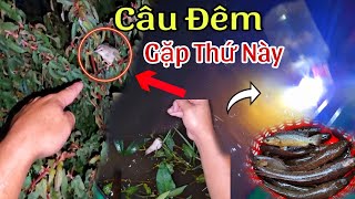 Muốn Tè Ra Quần Đi Câu Đêm Gặp Phải Thứ Này Ai Mà Gan Lắm Mới Dám Đi [upl. by Treborsemaj]