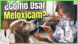 🔴 MELOXICAM PARA PERROS DOSIS ¿PARA QUE SIRVE Y PRECIO 🔴 [upl. by Aihselat]