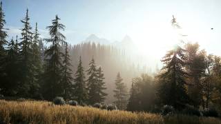 Towering Mountains  Far Cry 5  ASMR Nature Sounds Relaxation Meditation [upl. by Aiksas]