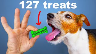 I Crushed Every Dog Treat Into One Treat [upl. by Aroved]