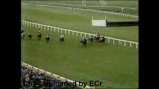 1980 Ayr Gold Cup Handicap [upl. by Athene113]